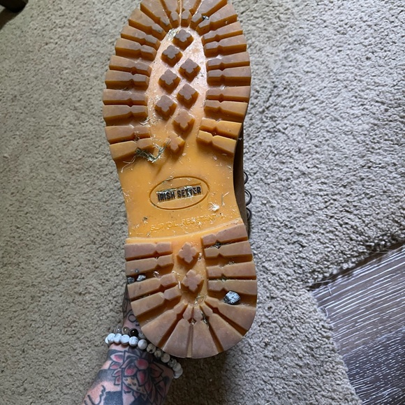 Irish setter 7.5 - Picture 7 of 9